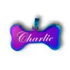 Colored Personalized Pet ID Bone Tag Name Engraved Puppy Gift