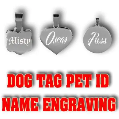Personalized Cat Pet ID Dog Tag 5 Cat Pet Id Dog Tag Back Personalized Cat Pet ID Dog Tag