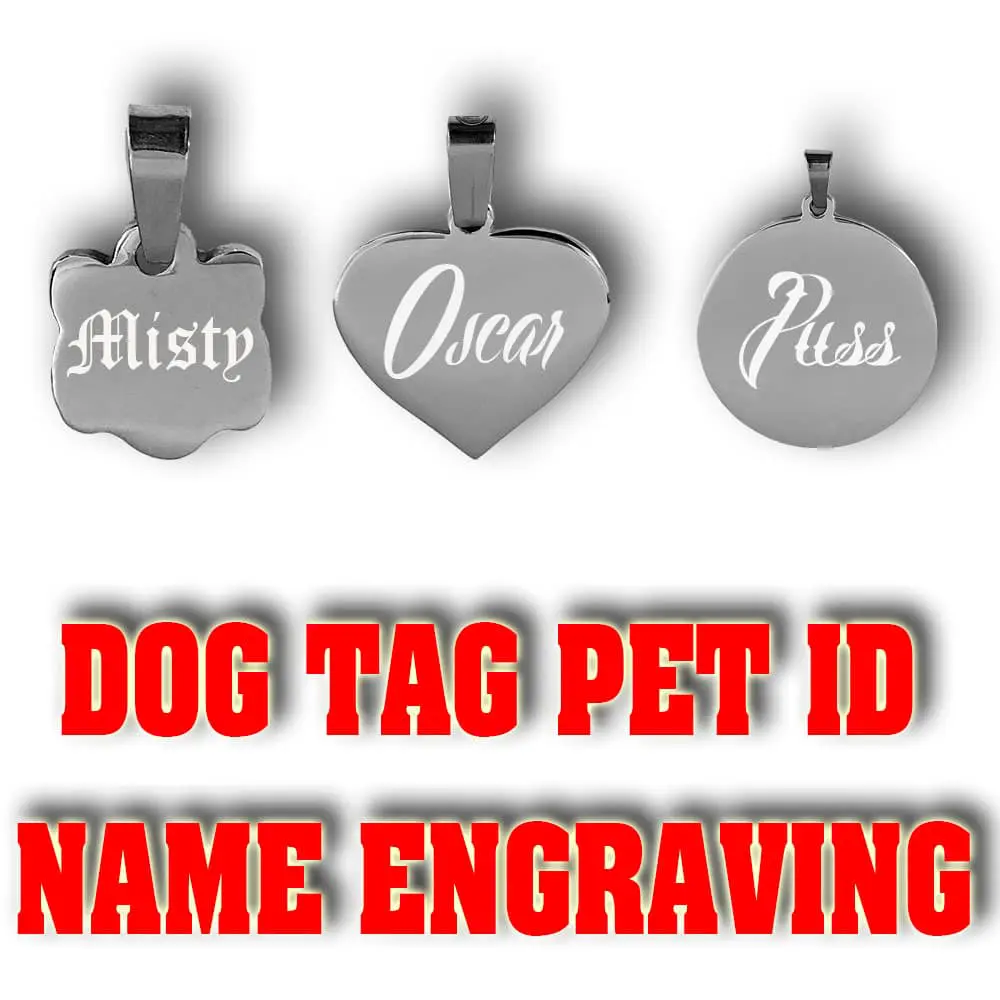 Personalized Cat Pet ID Dog Tag 4 Personalized Cat Pet ID Dog Tag - Image 2