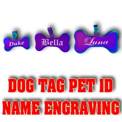 Color Bone Pet ID 2 Colored Personalized Pet ID Bone