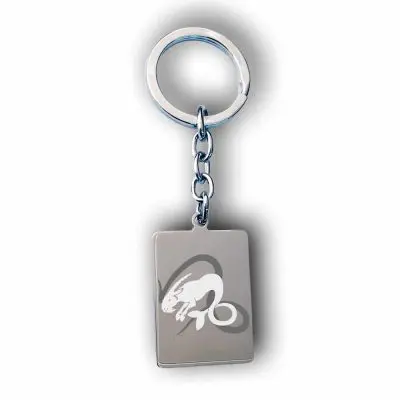 Personalized Capricorn Keychain Gift Custom Capricorn Keyring Present