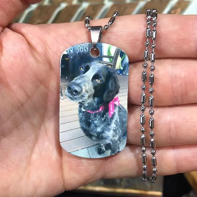 Personalized Dog Tag In Color\ Gifts Engraving